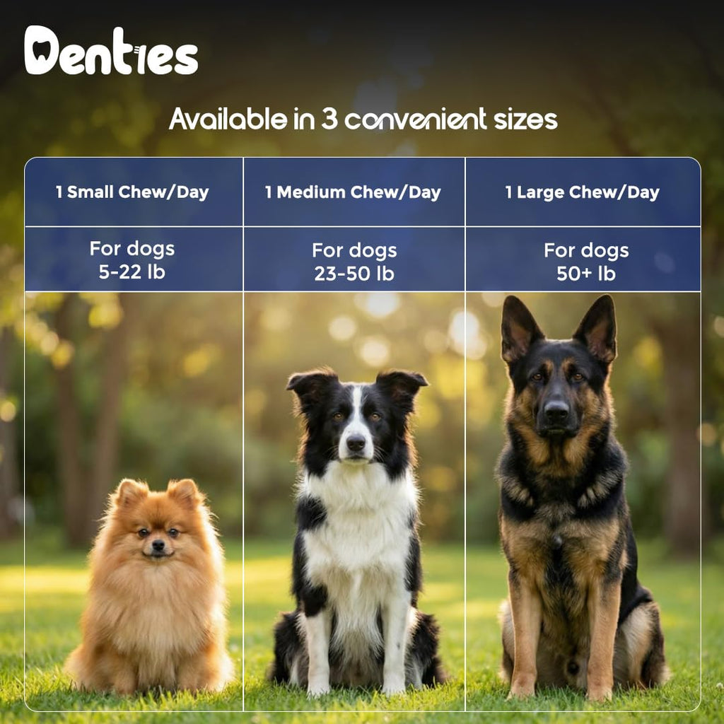 Dental Chews for Dogs 16oz 10 Count V624323