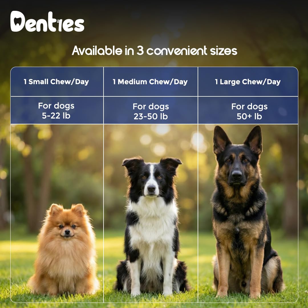 Dental Chews for Dogs 16oz 10 Count V624323