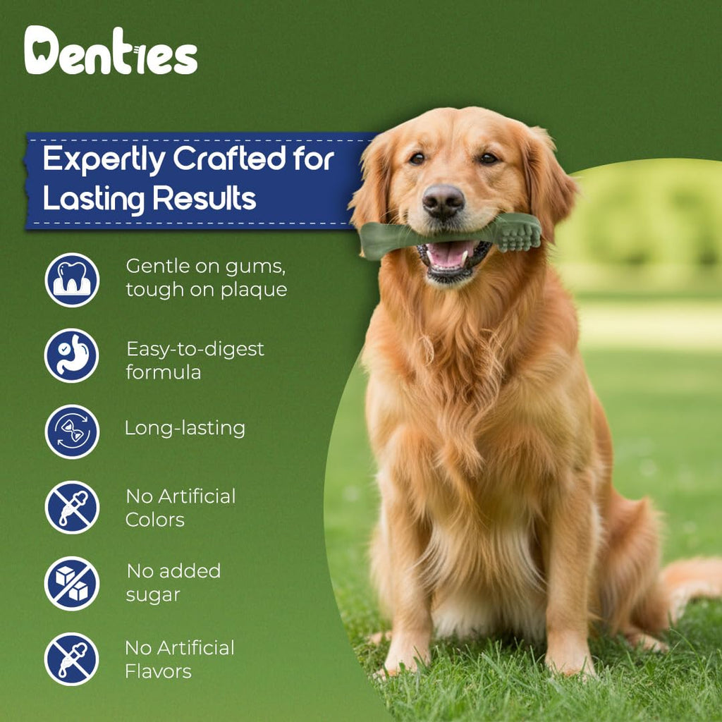 Dental Chews for Dogs 16oz 10 Count V624323