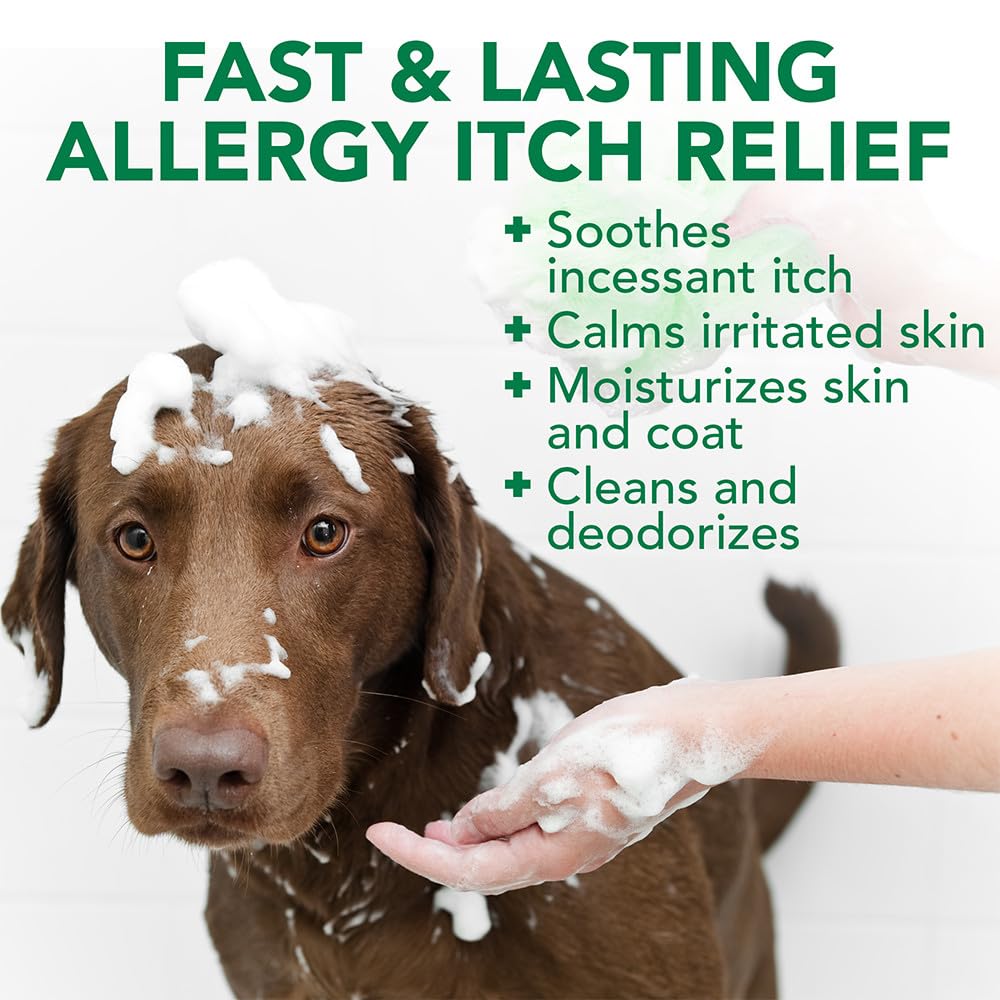 Oatmeal Dog Shampoo 16 oz Q8352