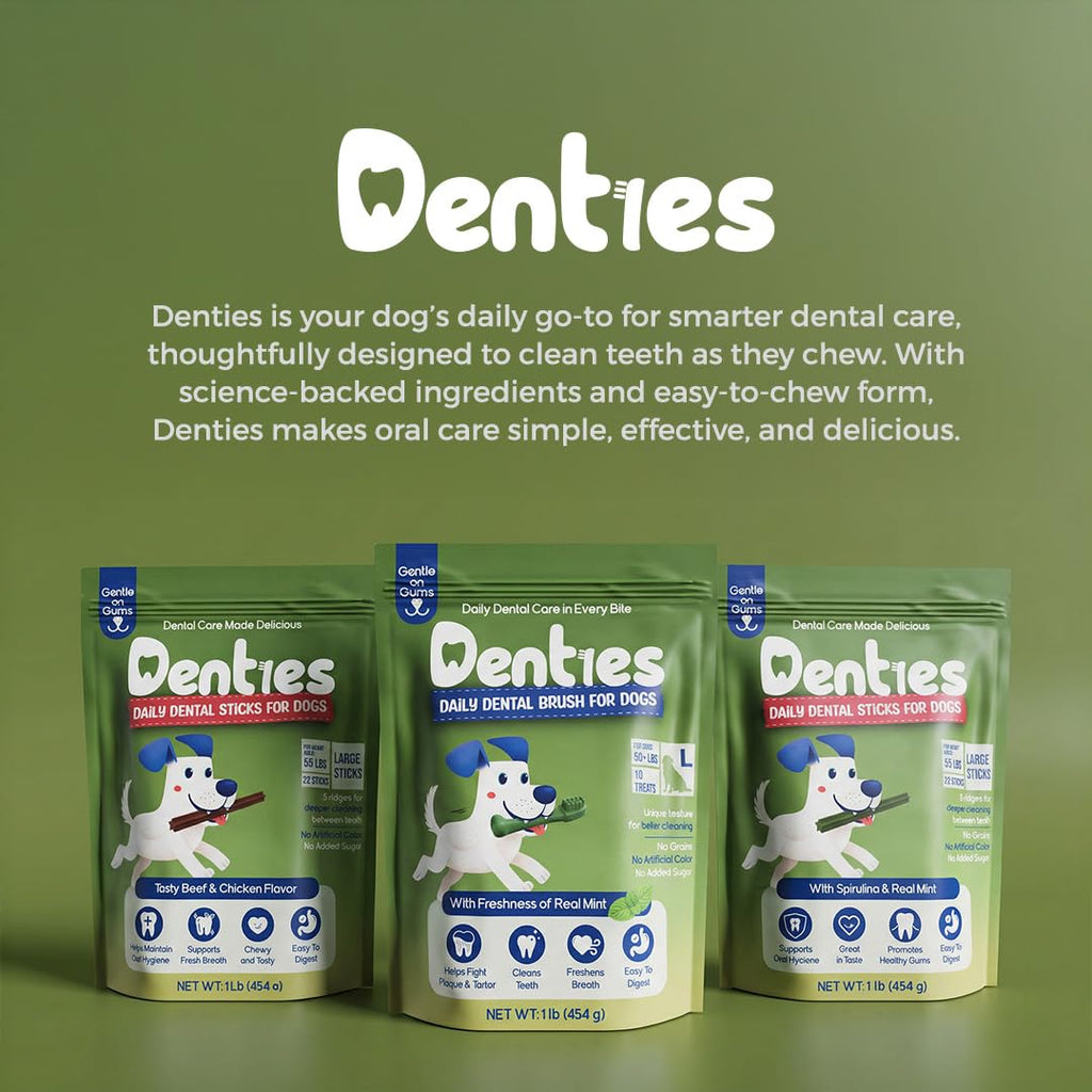 Dental Chews for Dogs 16oz 10 Count V624323