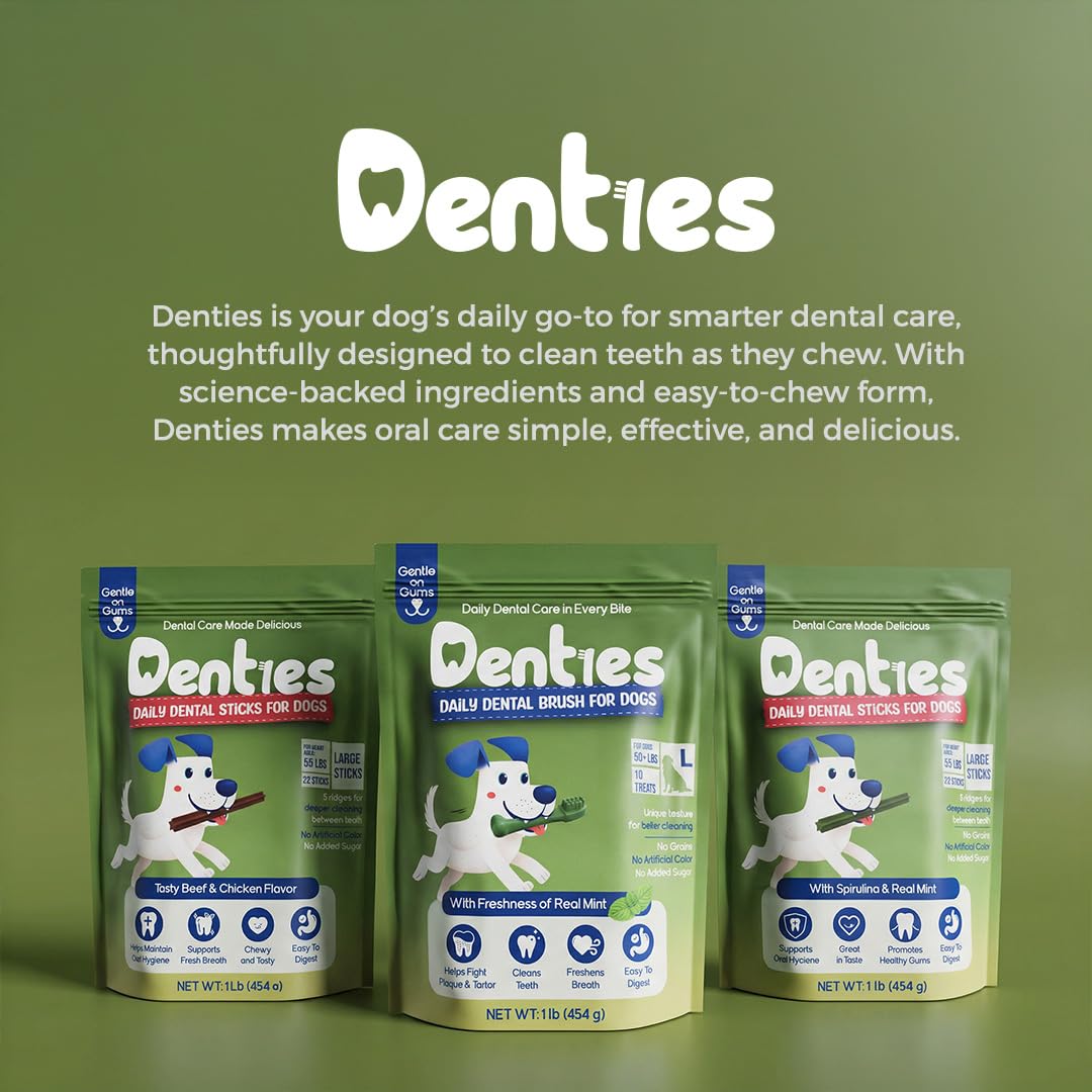 Dental Chews for Dogs 16oz 10 Count V624323