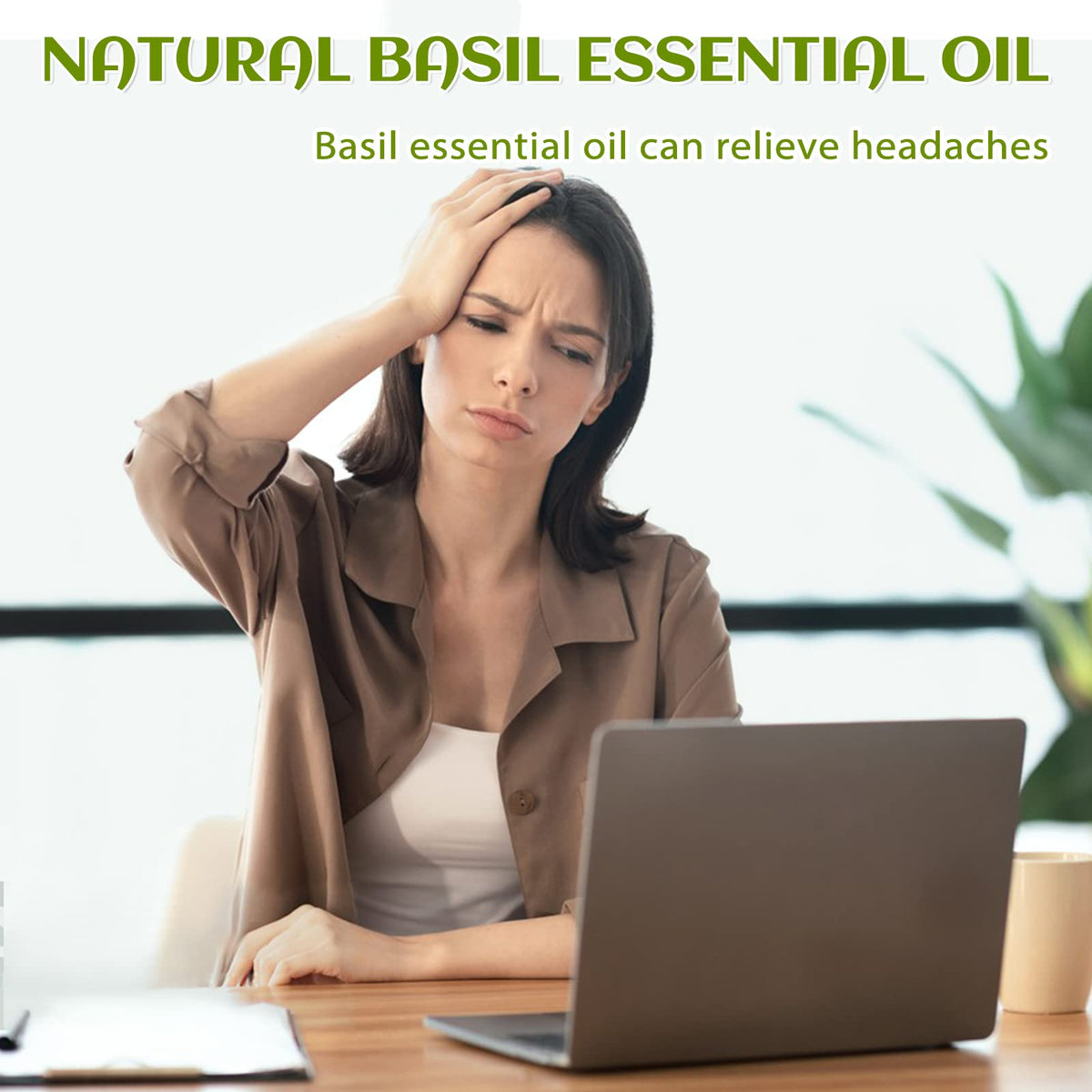 Basil and Lavender Essential Oil 4 Fl Oz H302