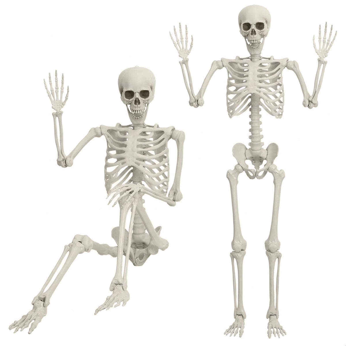 5.4FT Posable Life Size Skeleton with Movable Joints O95095