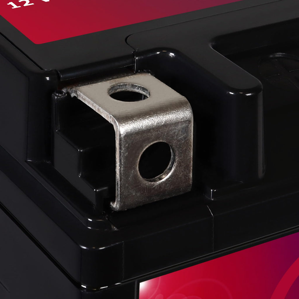 12V 11.2Ah Battery C36828