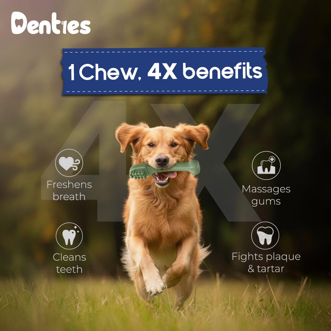 Dental Chews for Dogs 16oz 10 Count V624323