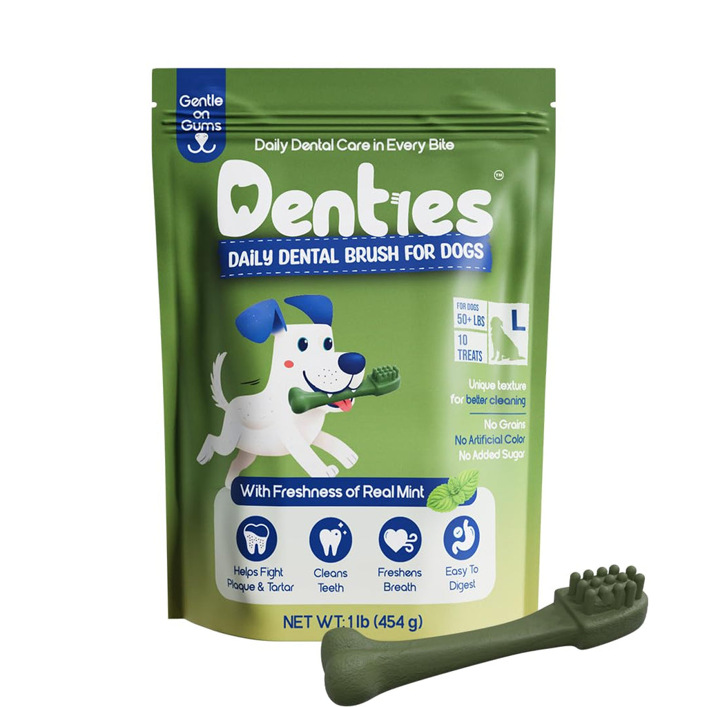 Dental Chews for Dogs 16oz 10 Count V624323