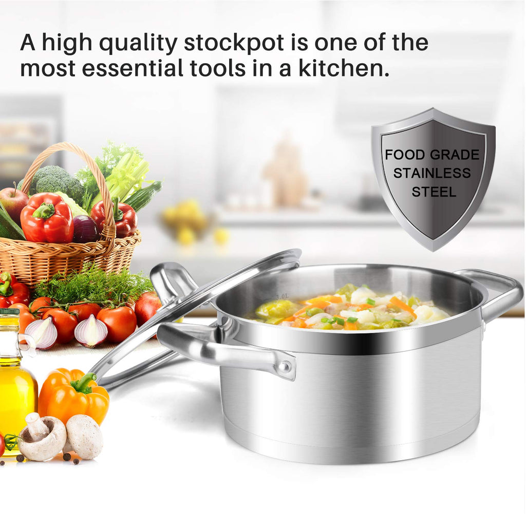 Stainless Steel 4.2 Qt Stock Pot with Lid H679