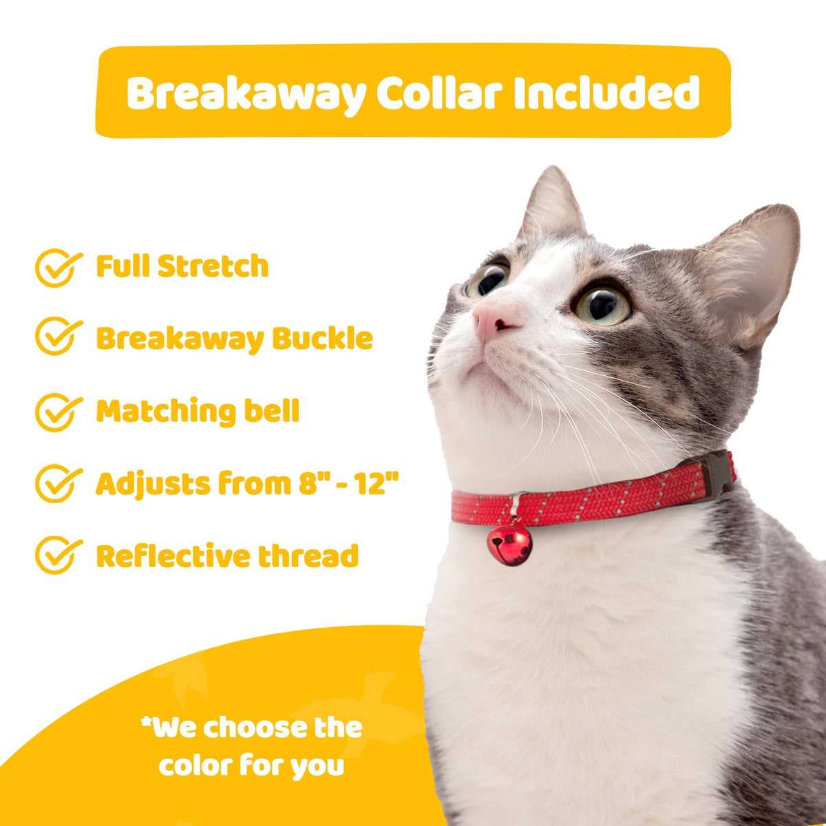 Cat Collar Cover & Breakaway Collar Set D6841