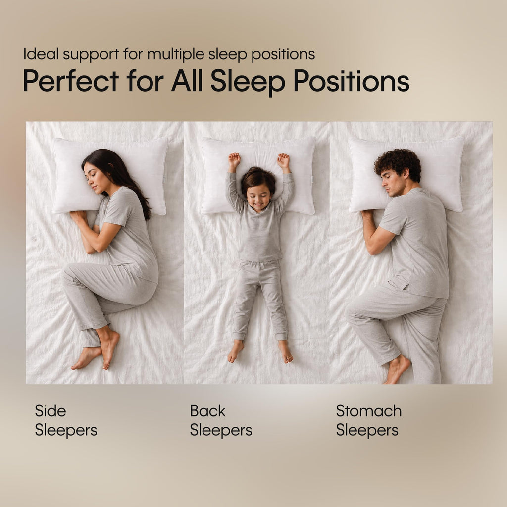 King Size Set of 2 Down Alternative Pillow J72752