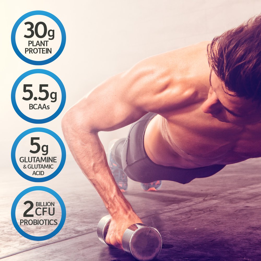 Organic Vegan Protein Powder Vanilla E66193