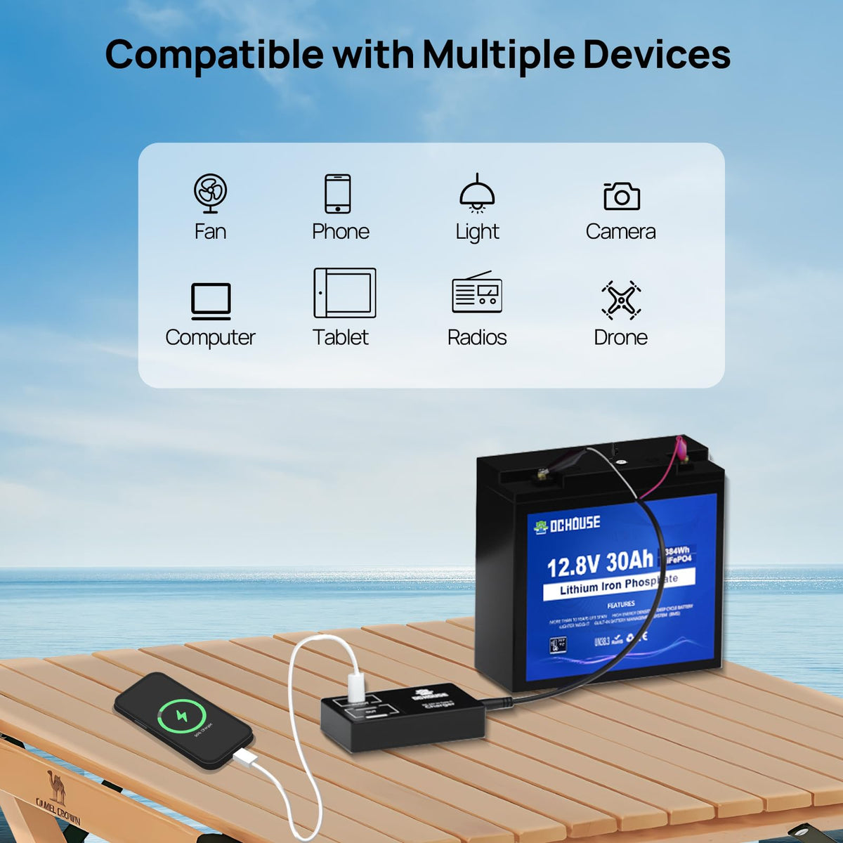 12V 30Ah Lithium Battery with USB Charger Y370627