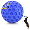 Squeaky Dog Ball Chew Toy S9862