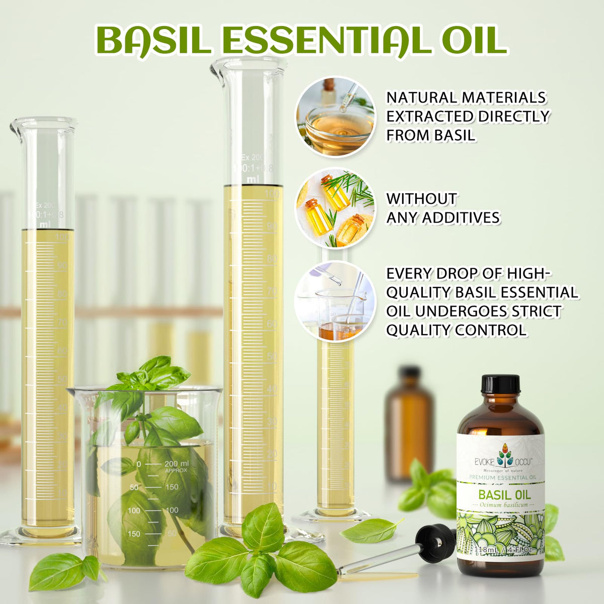 Basil and Lavender Essential Oil 4 Fl Oz H302