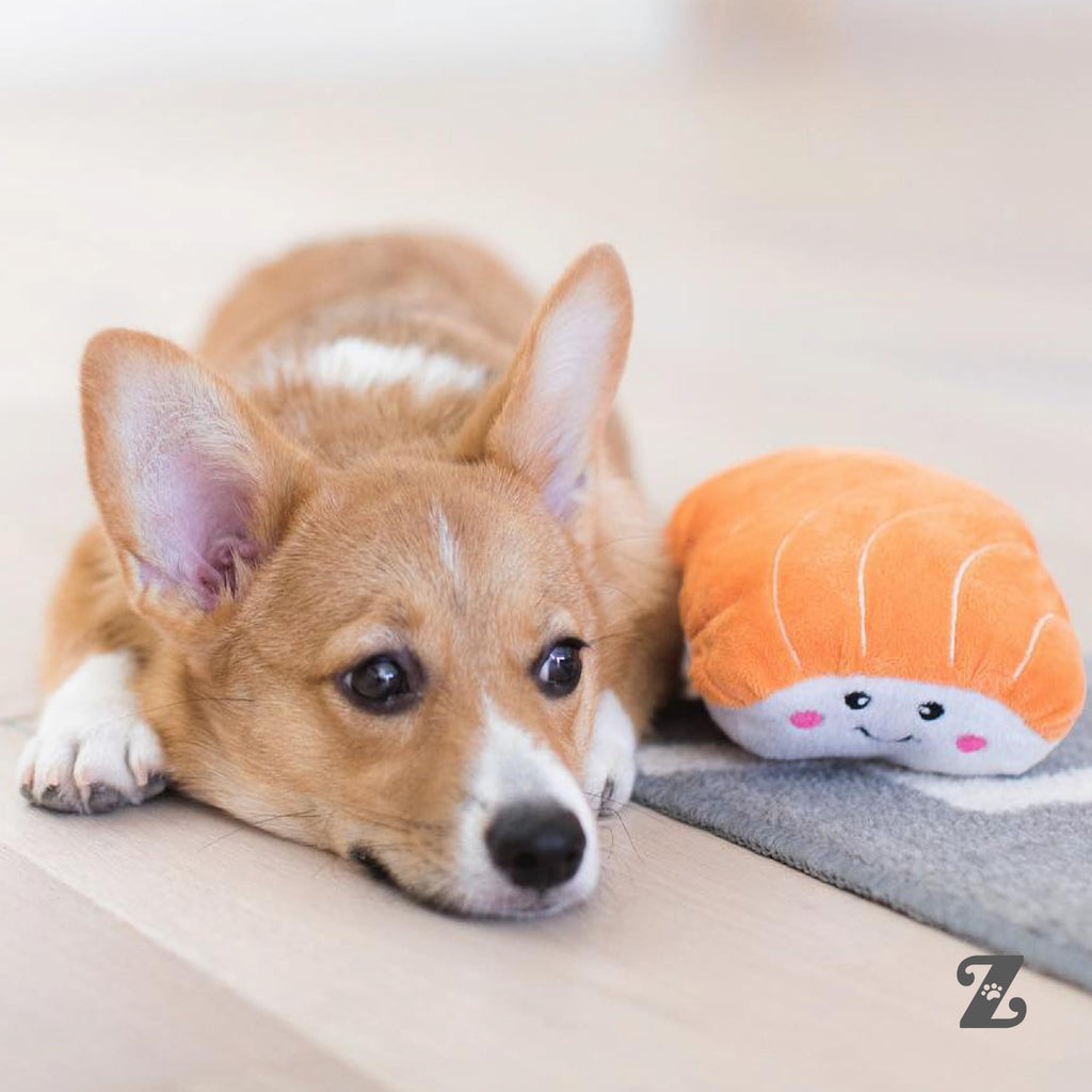 Dog Squeaky Toys W96214