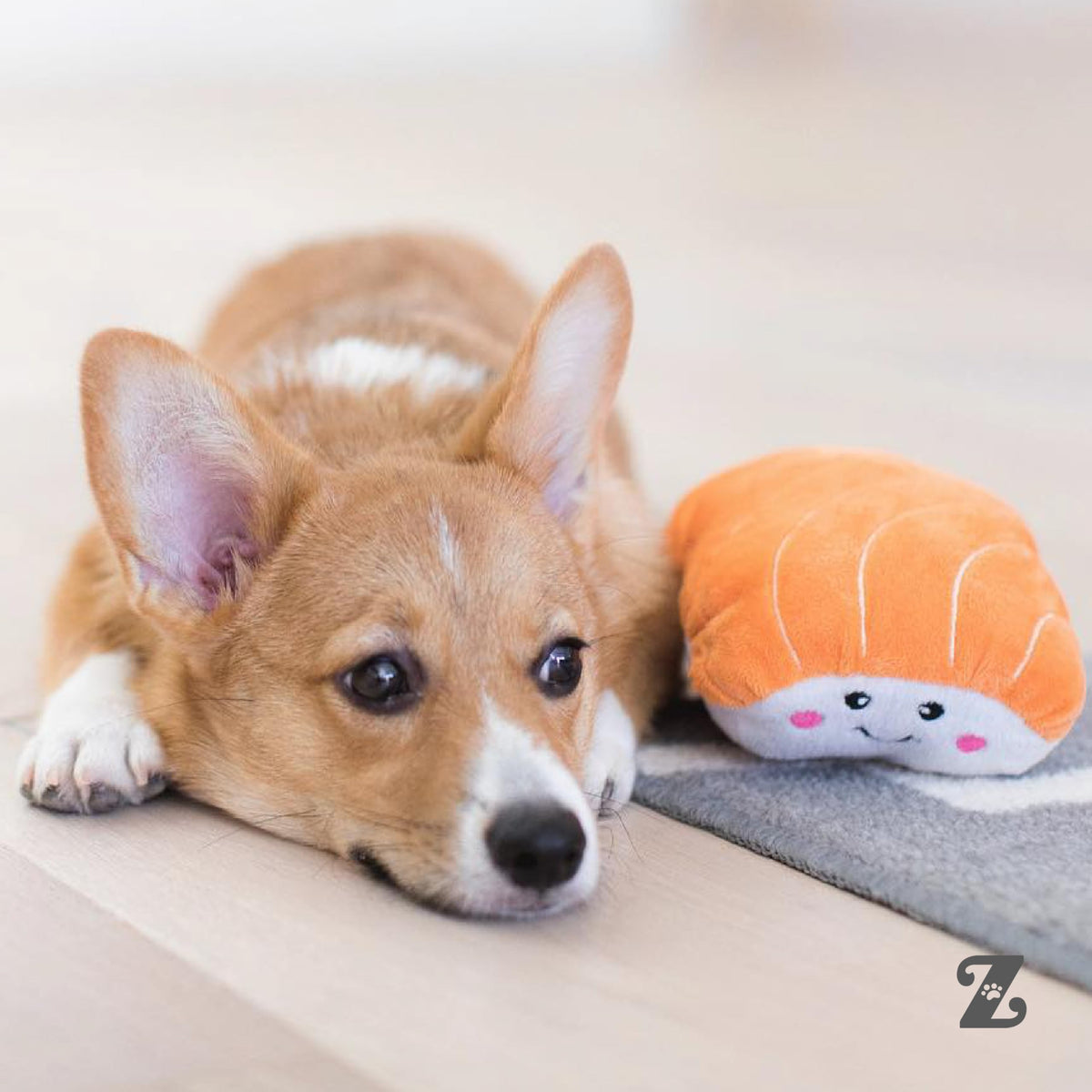 Dog Squeaky Toys W96214