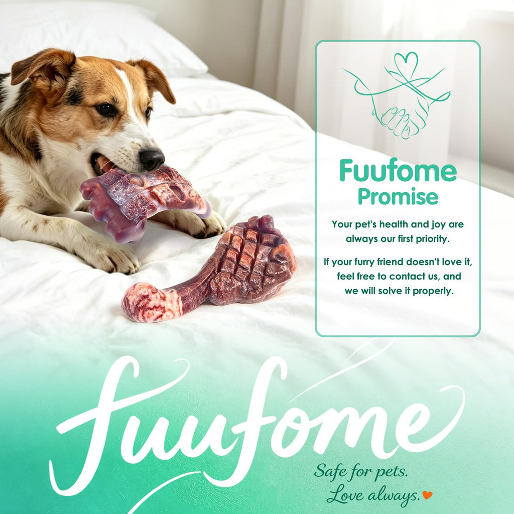 Tough Dog Chew Toys, 2 Pack Hard Nylon Bone I79034