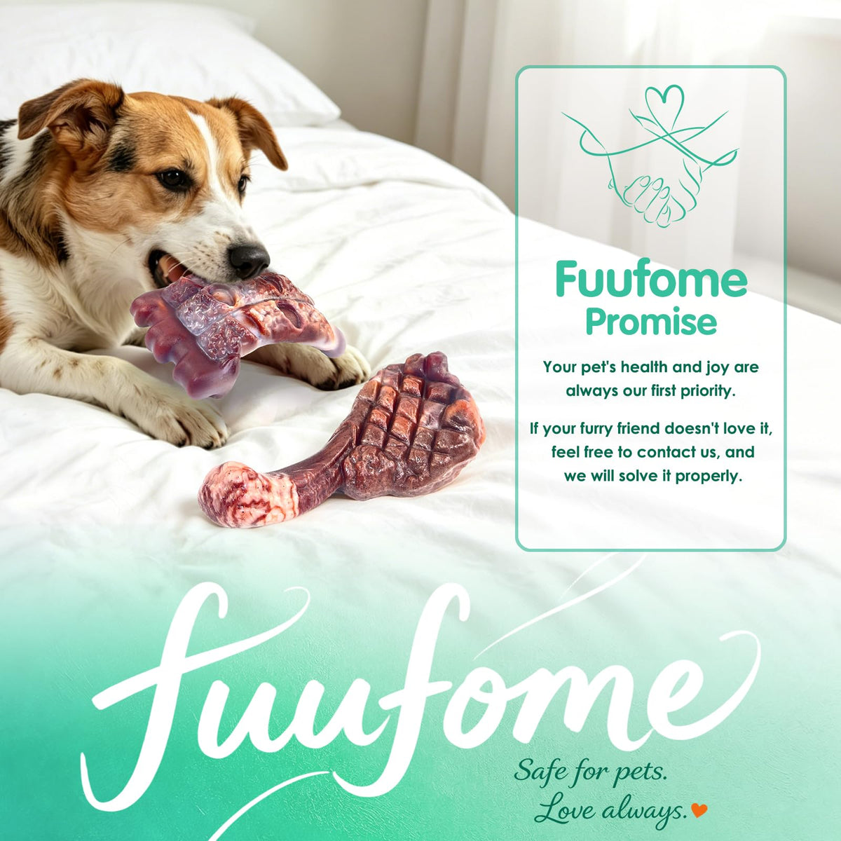 Tough Dog Chew Toys, 2 Pack Hard Nylon Bone I79034