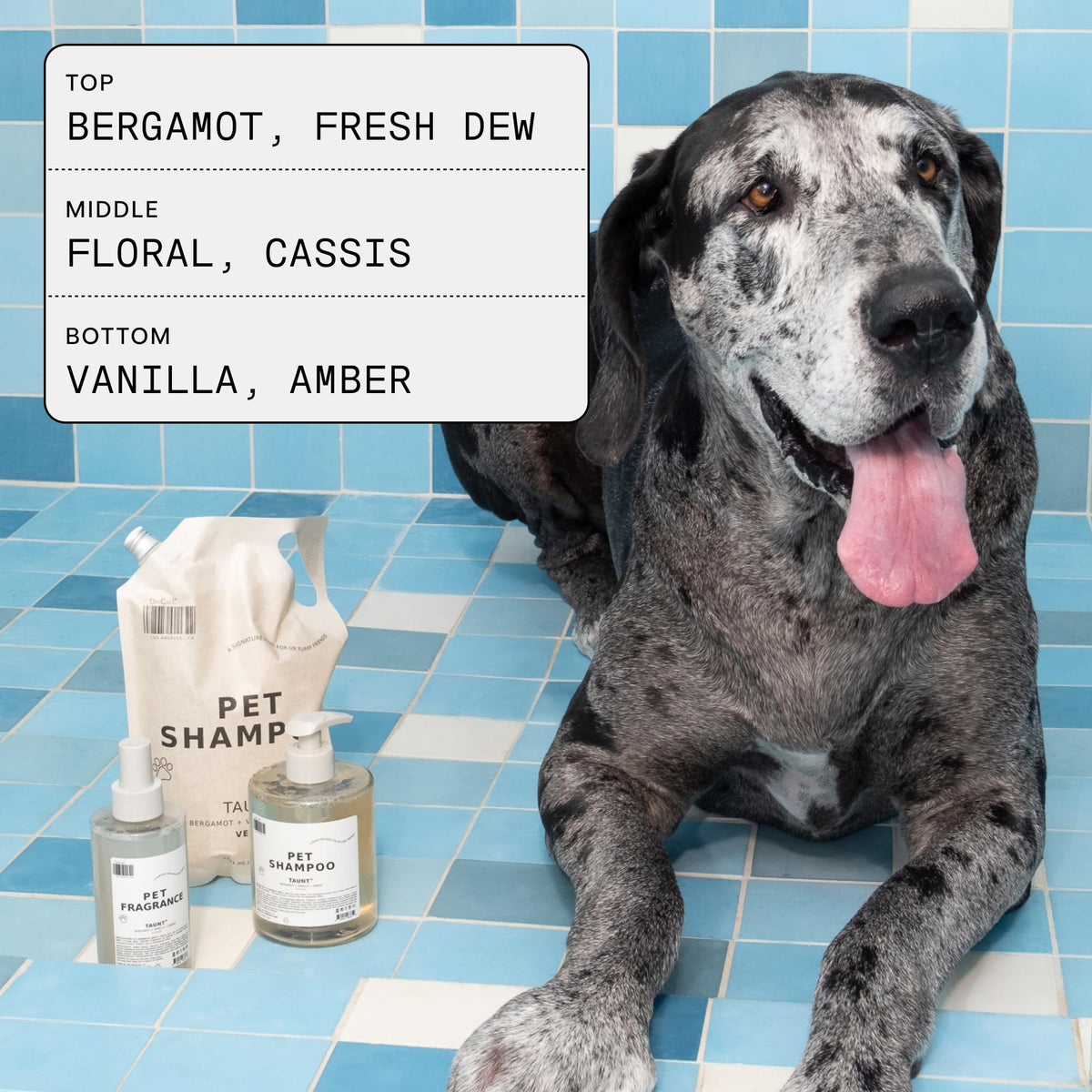 Pet Shampoo & Fragrance Bundle Dog Grooming Set T648