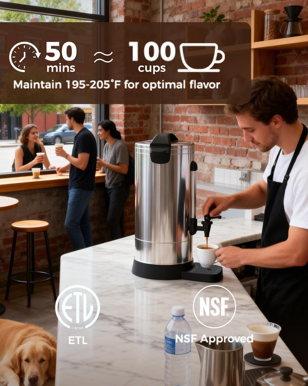 1500W 100 Cup Stainless Steel Commercial Coffee Urn S243