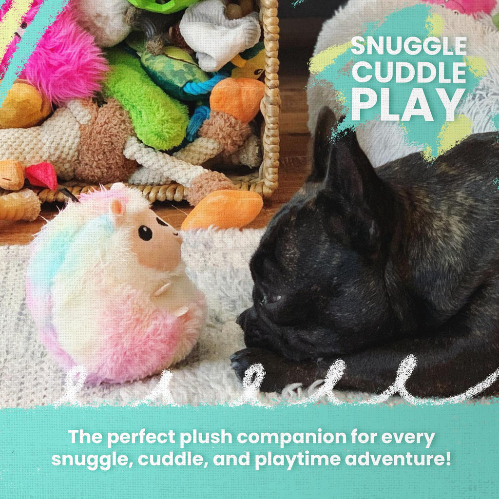 Dog Toy with Squeaker and Crinkle Y864661