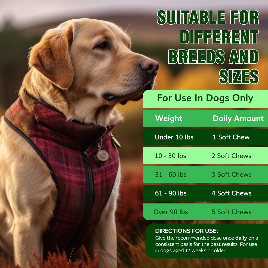 Flea and Tick Chewables for Dogs Chicken 120 Soft Treats Z278