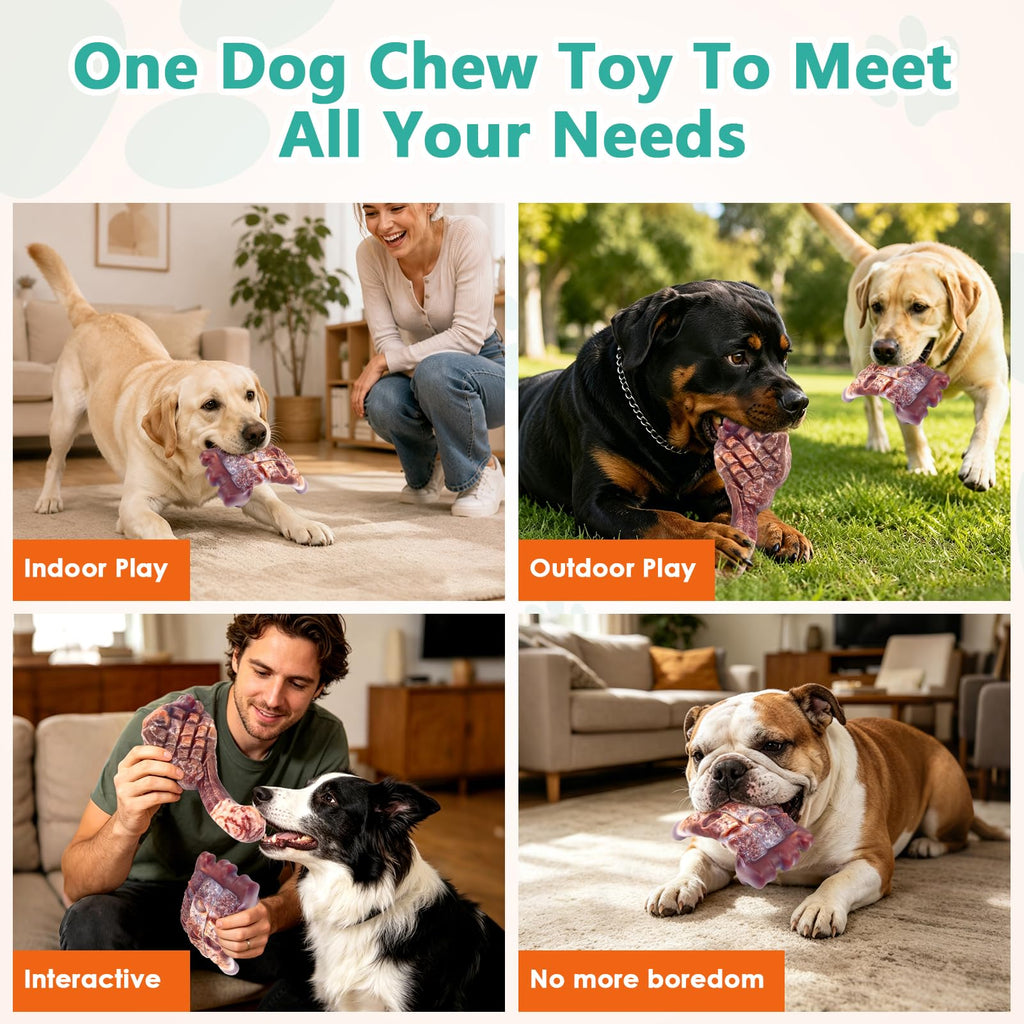 Tough Dog Chew Toys, 2 Pack Hard Nylon Bone I79034