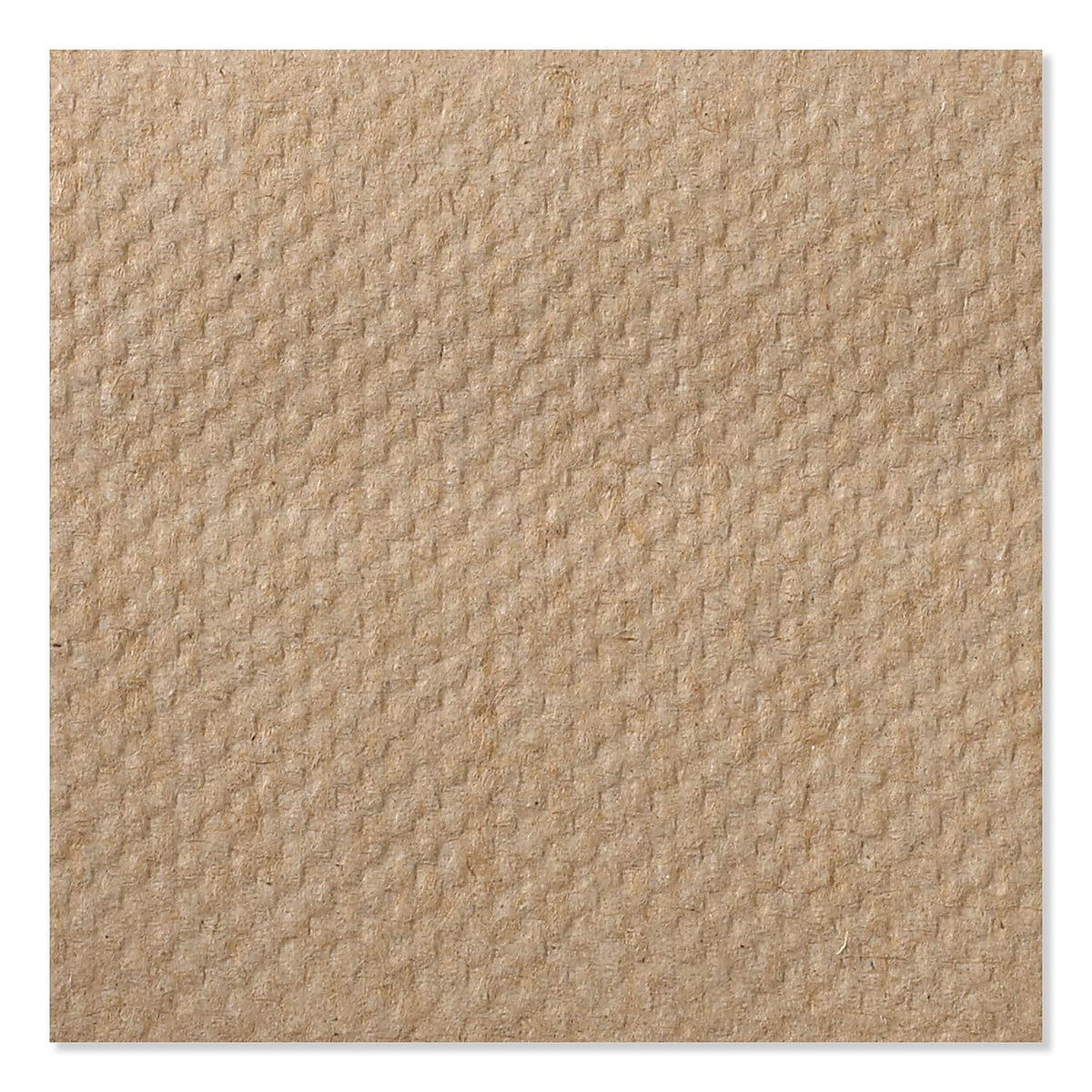 Multifold Hand Towel Natural 16 x 250 Sheets P646482