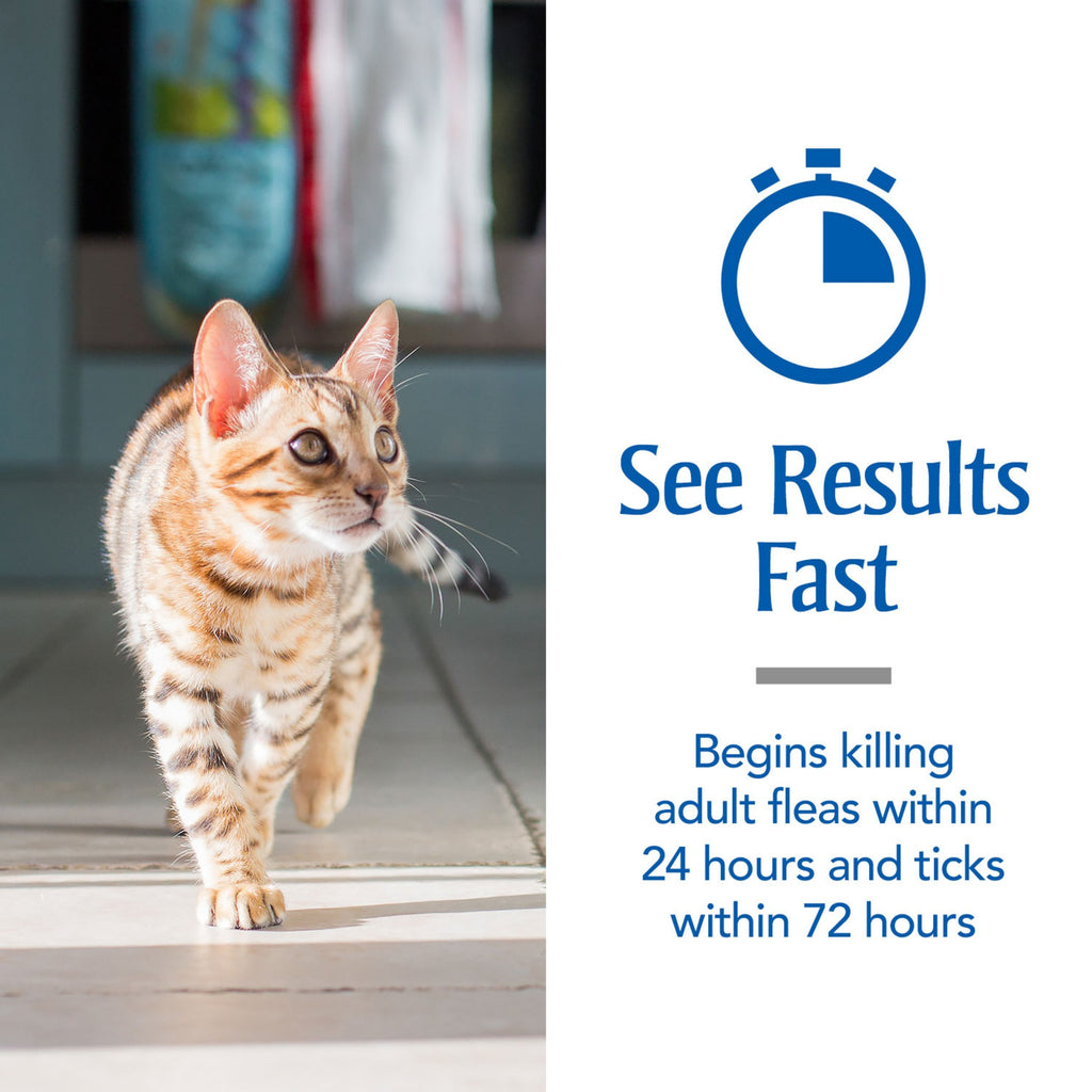 Flea & Tick Treatment for Cats P3010