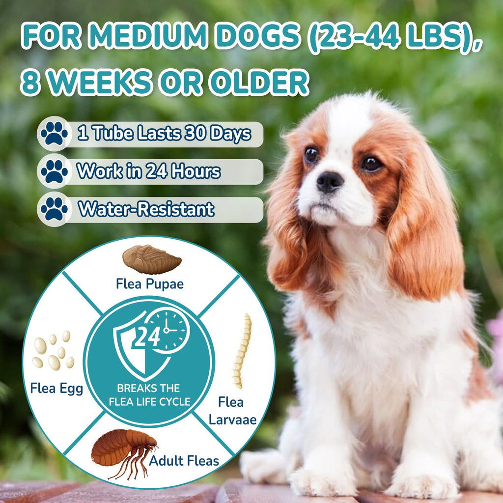 Flea and Tick Prevention for Medium Dogs F9586