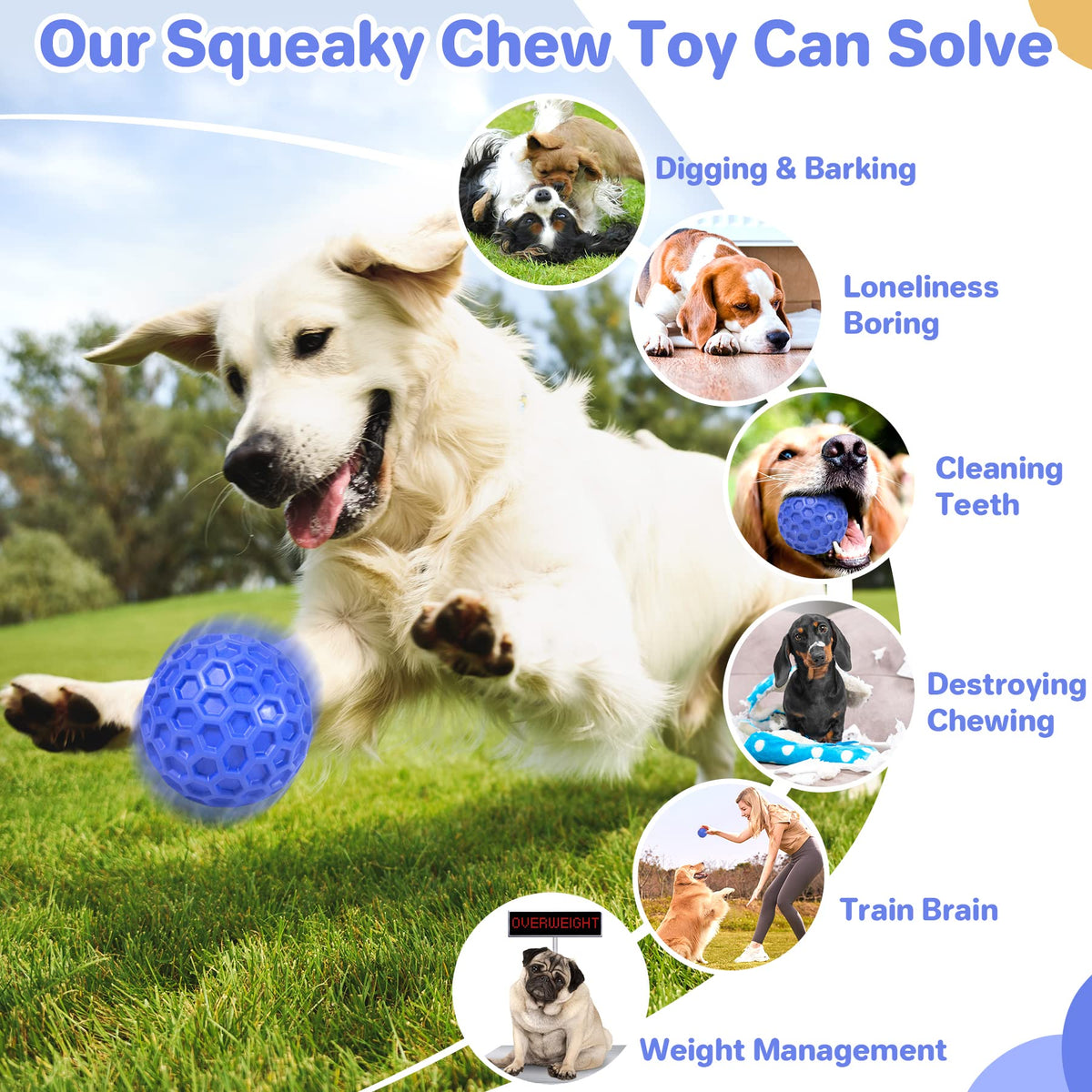 Squeaky Dog Ball Chew Toy S9862