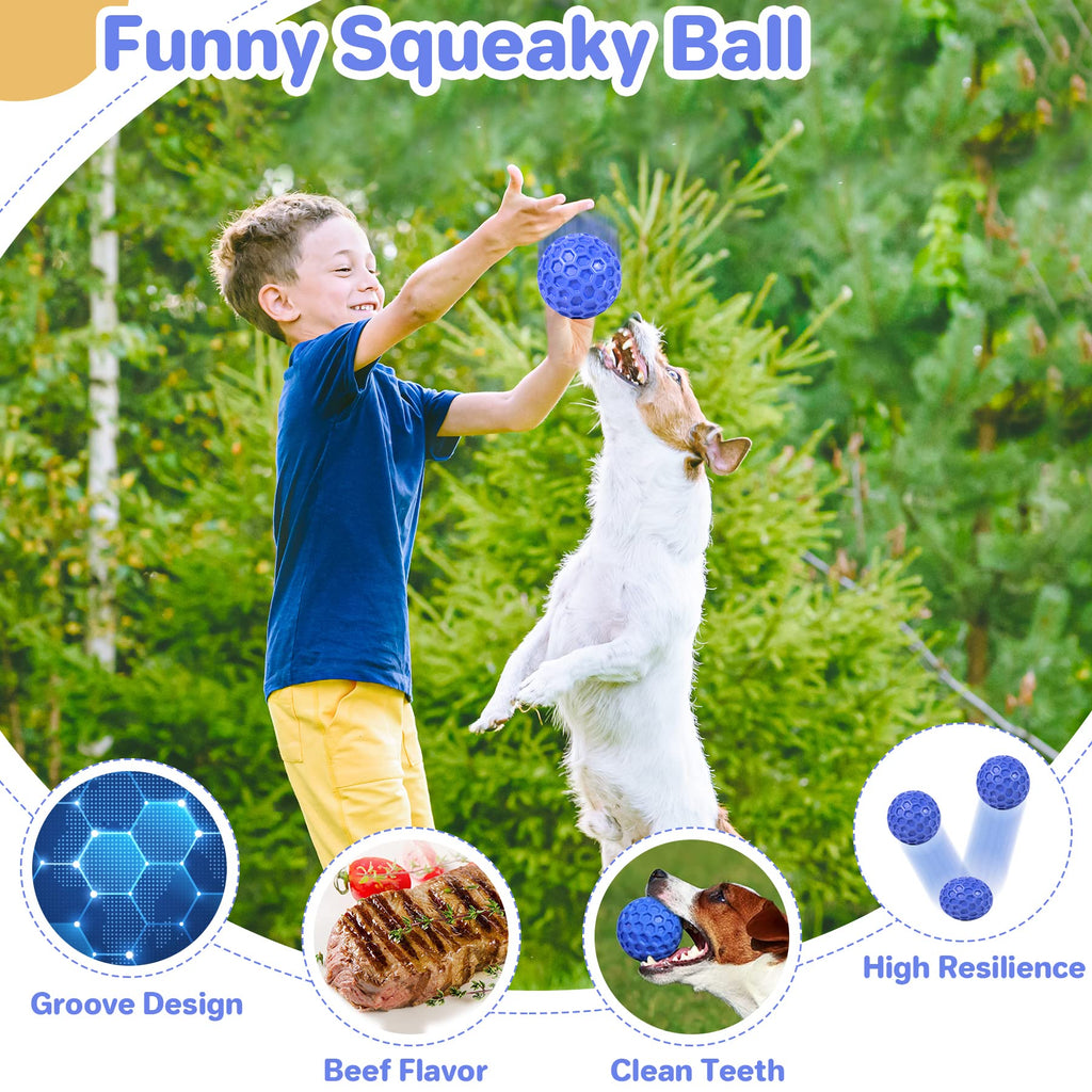 Squeaky Dog Ball Chew Toy S9862