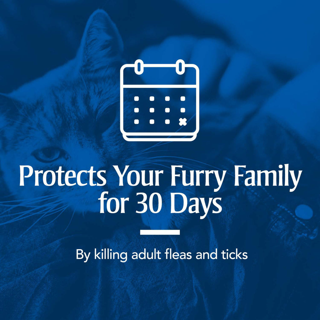Flea & Tick Treatment for Cats P3010
