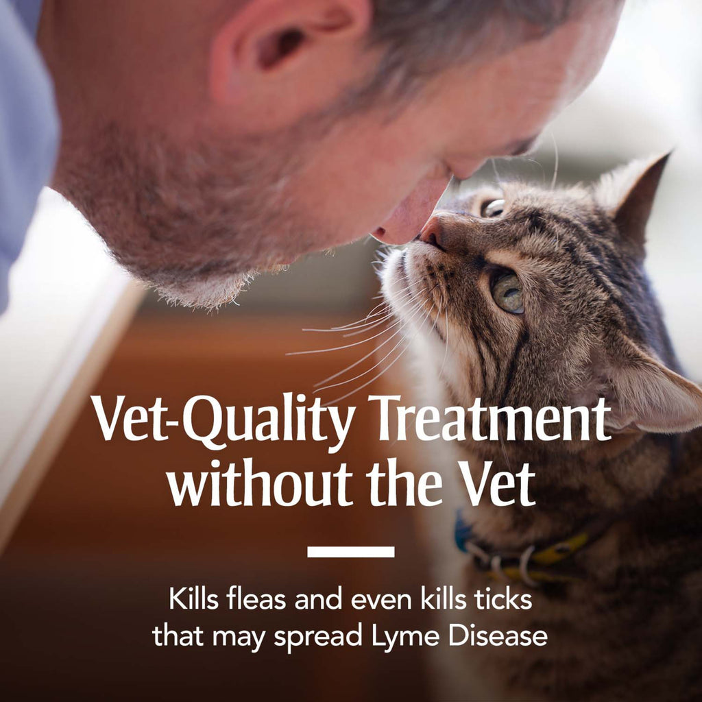 Flea & Tick Treatment for Cats P3010