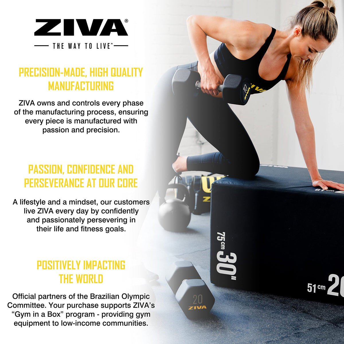 Hex Rubber Coated Dumbbells Z453789