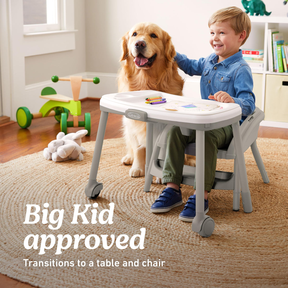 6-in-1 Convertible Highchair C896308