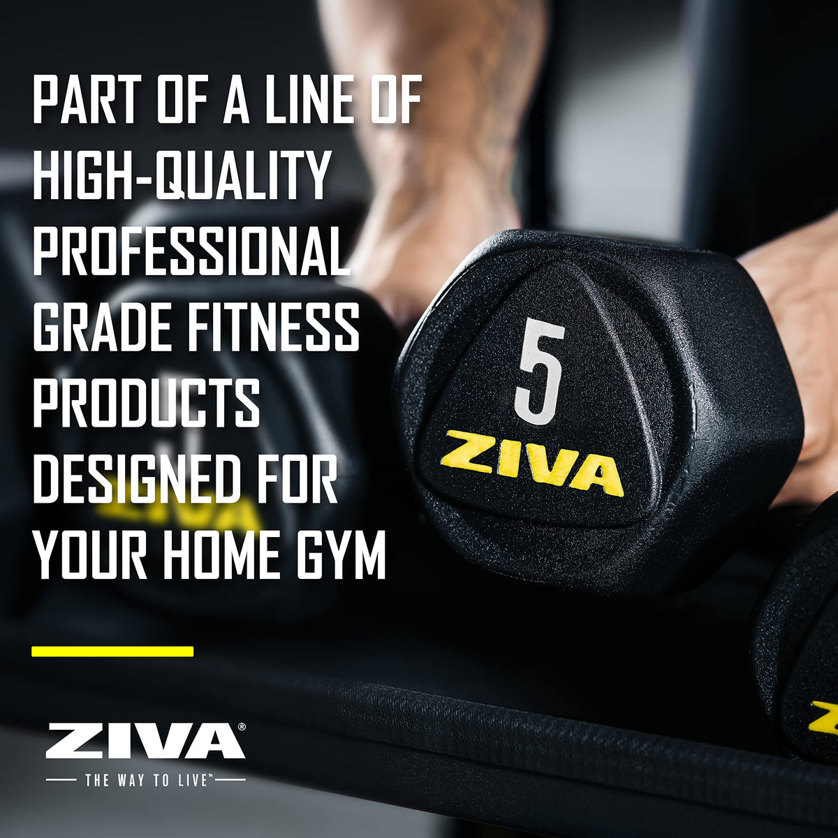 Hex Rubber Coated Dumbbells Z453789